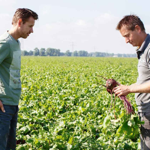 Farm equipment repair services, Automated farm equipment, Tractor cultivator, Soil tilling machines,Interviews with Farmers Using Your Machinery