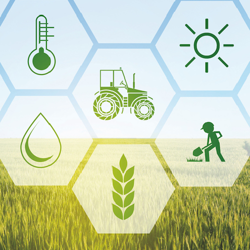 Success Stories of Farms Achieving Sustainability Goals