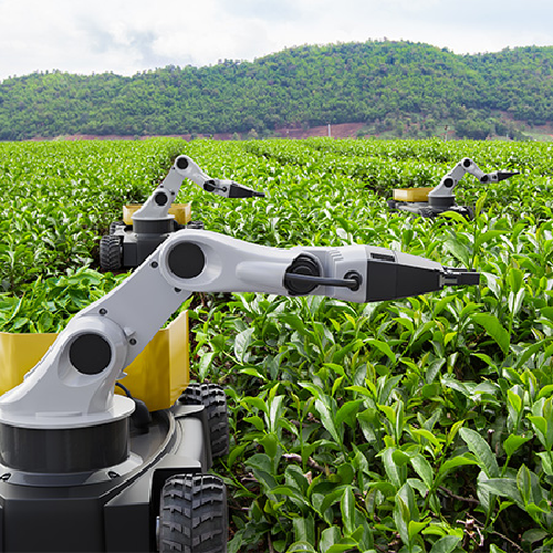 Predictions on Future Farming Practices and Machinery Demand
